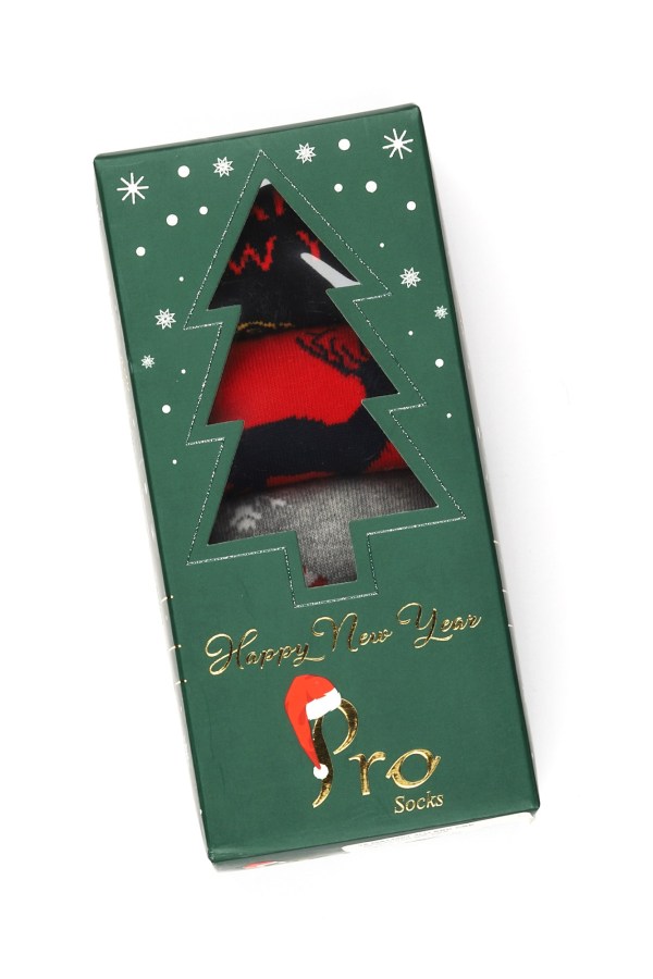 Multi Color Çorap 19 MS14901 4LU ERK CRP