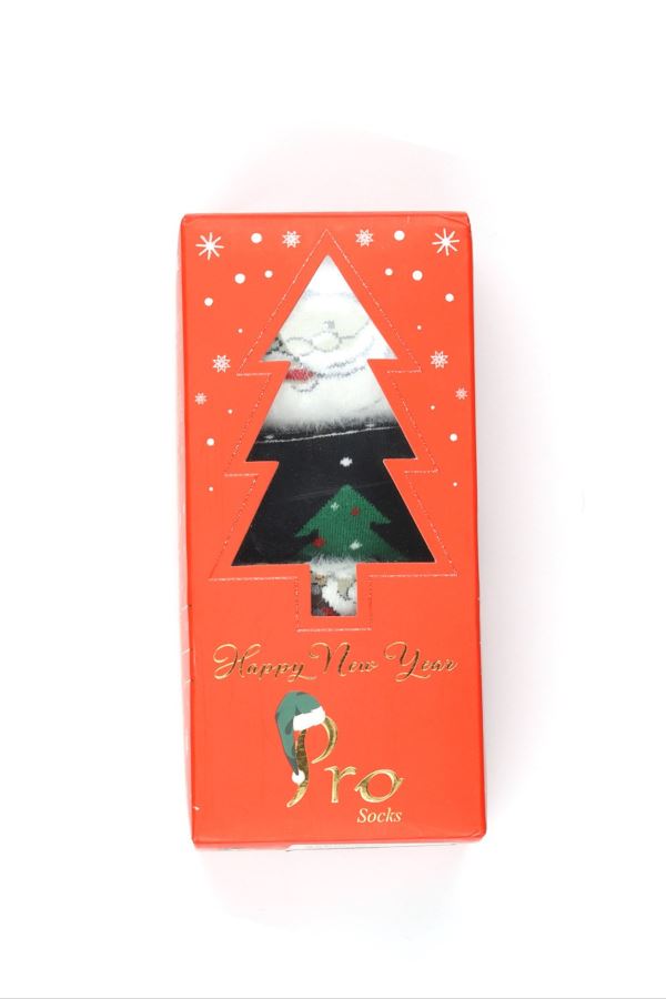 Multi Color Çorap 19 WS24901 3LU KDN CRP